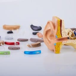 Collection of hearing aids.